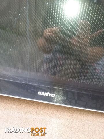 Sanyo microwave