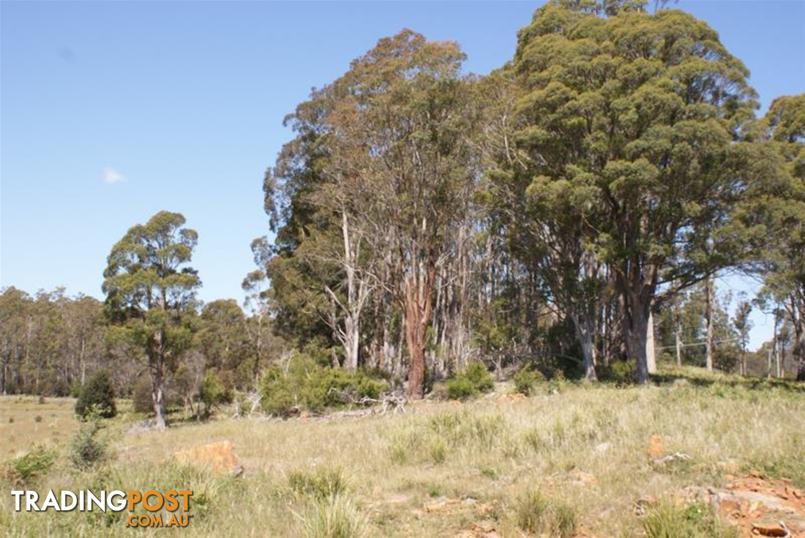 465 River Road Deloraine TAS 7304