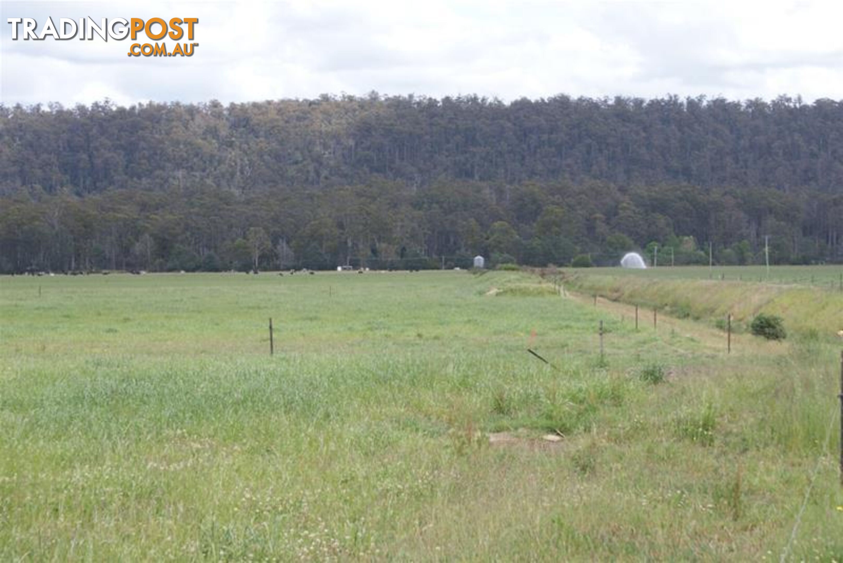 14439 Highland Lakes Road Deloraine TAS 7304