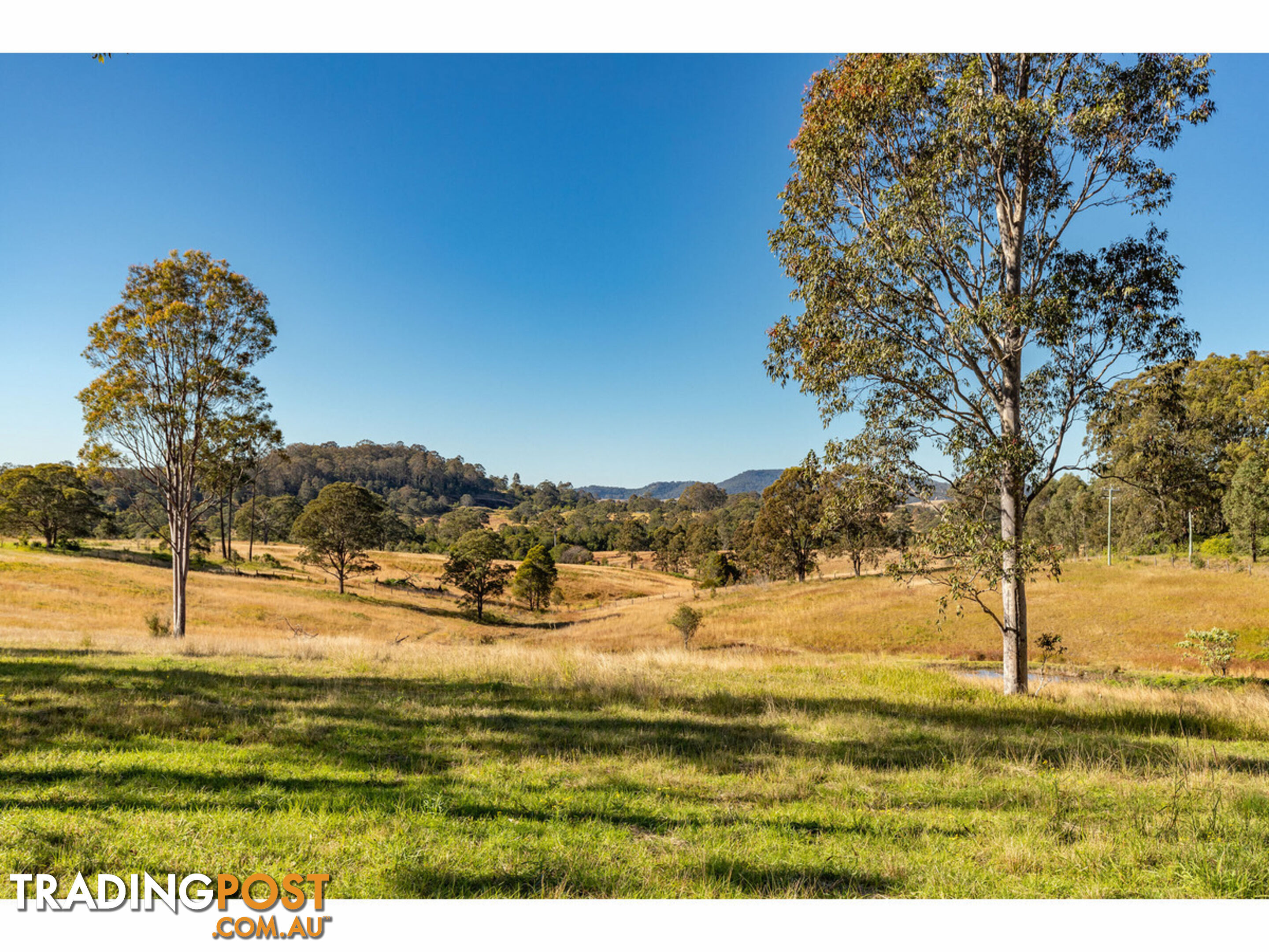 1595 Willina Road BUNYAH NSW 2429