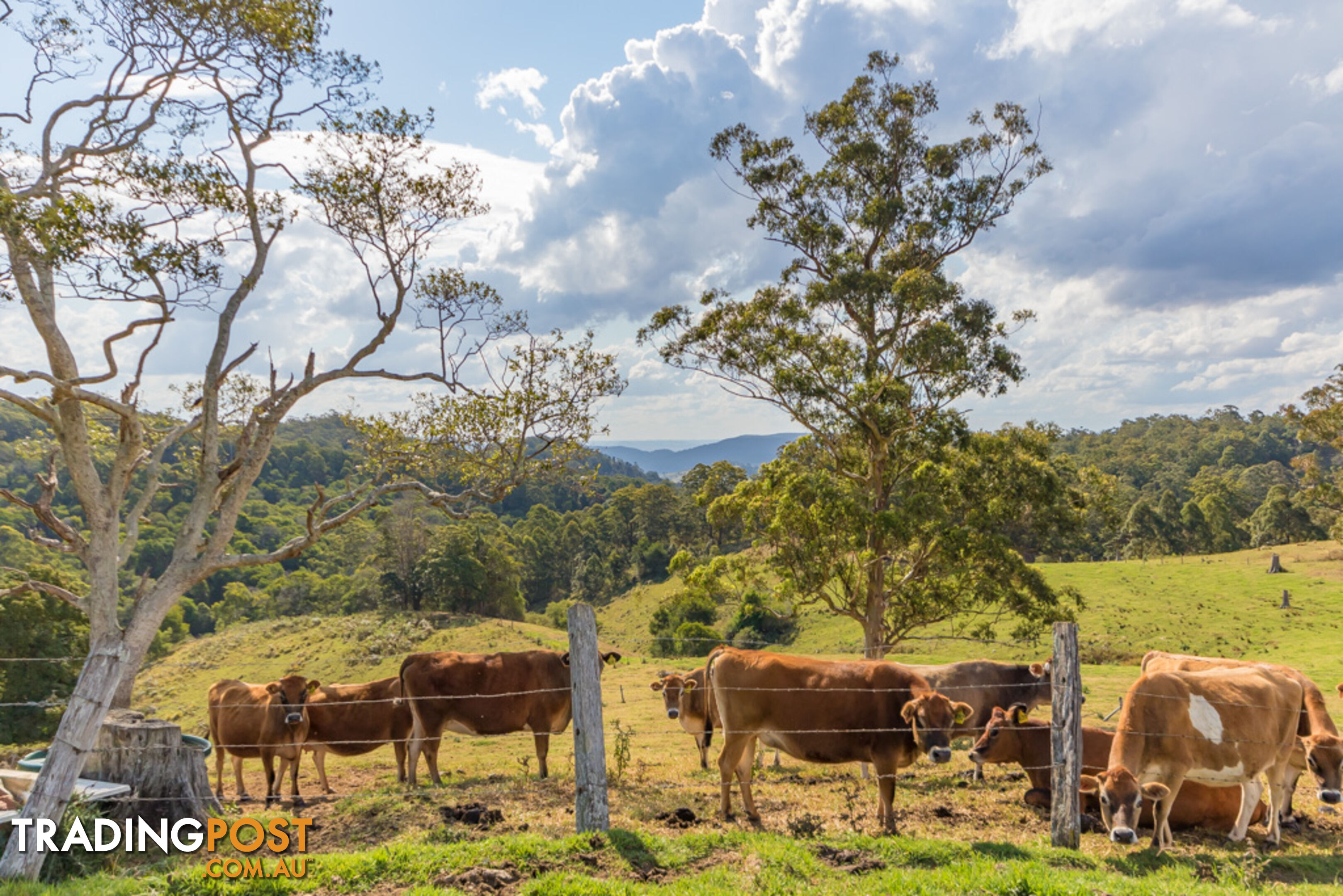 MOUNT MEE QLD 4521