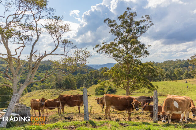 MOUNT MEE QLD 4521