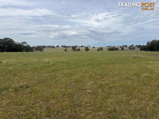 1157 Coonabarabran Road Mendooran NSW 2842 - photo 5 of 7