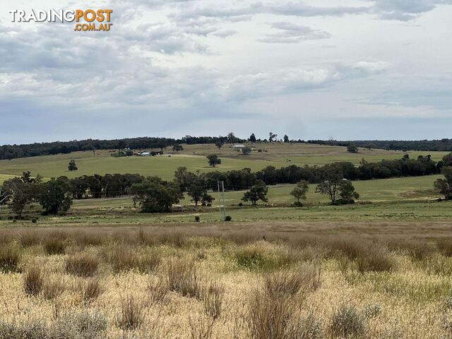 1157 Coonabarabran Road Mendooran NSW 2842 - photo 2 of 7
