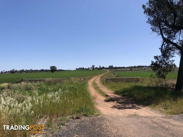 1157 Coonabarabran Road Mendooran NSW 2842 - photo 3 of 7