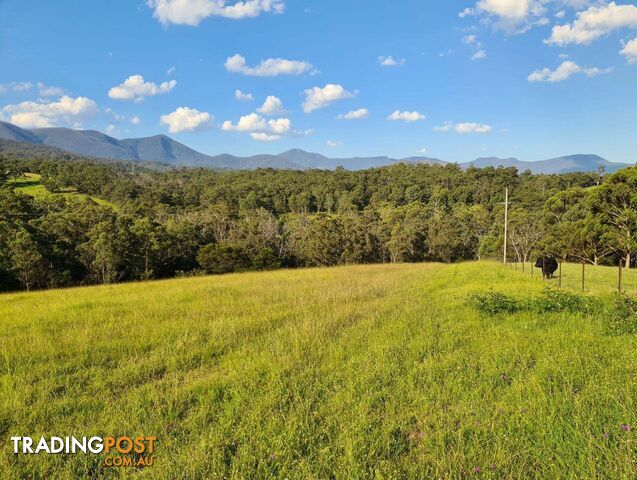 3644 Snowy Mountains Highway Bemboka NSW 2550 - photo 3 of 24
