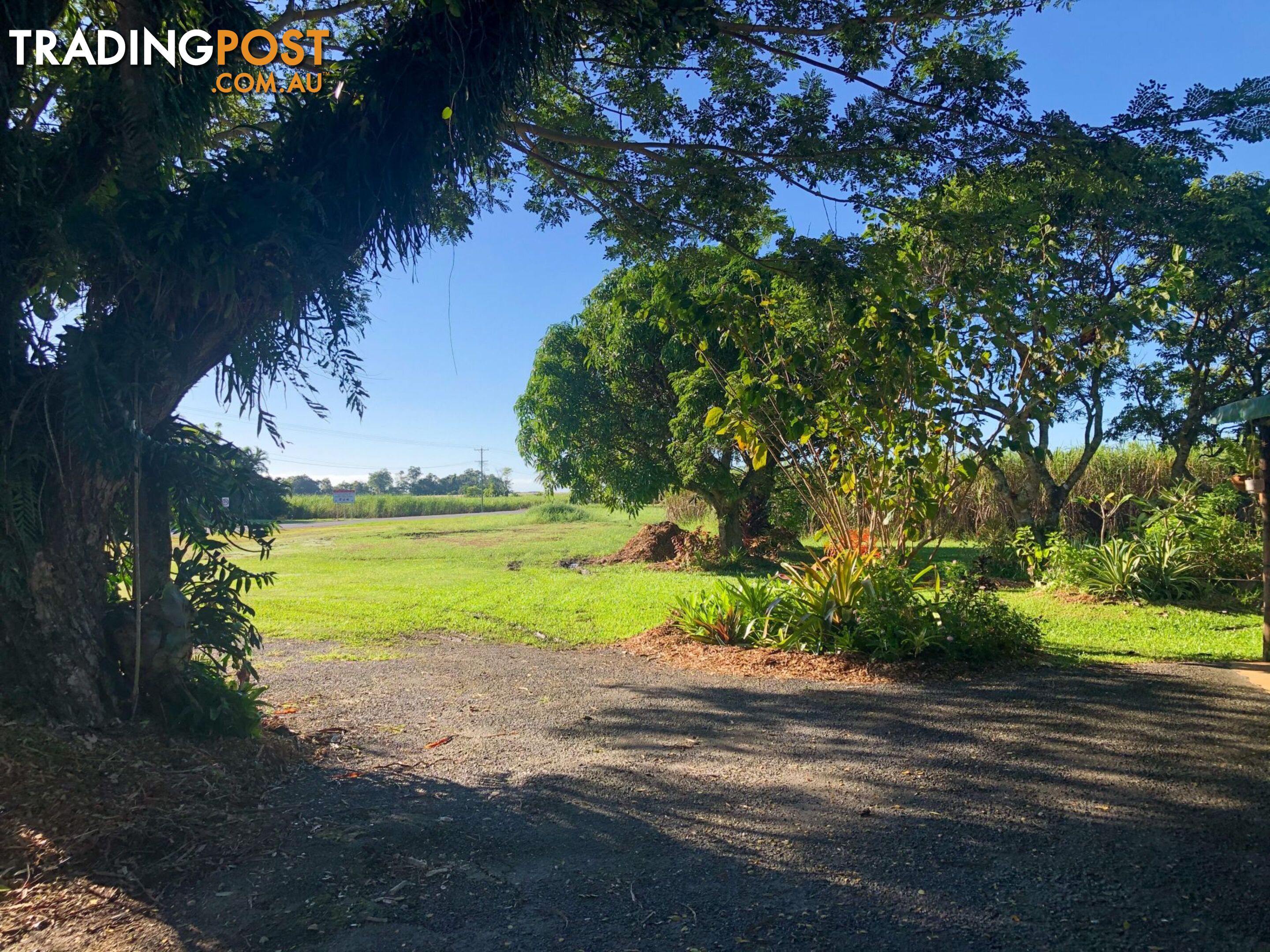 2539 Mossman Daintree Road Lower Daintree QLD 4873