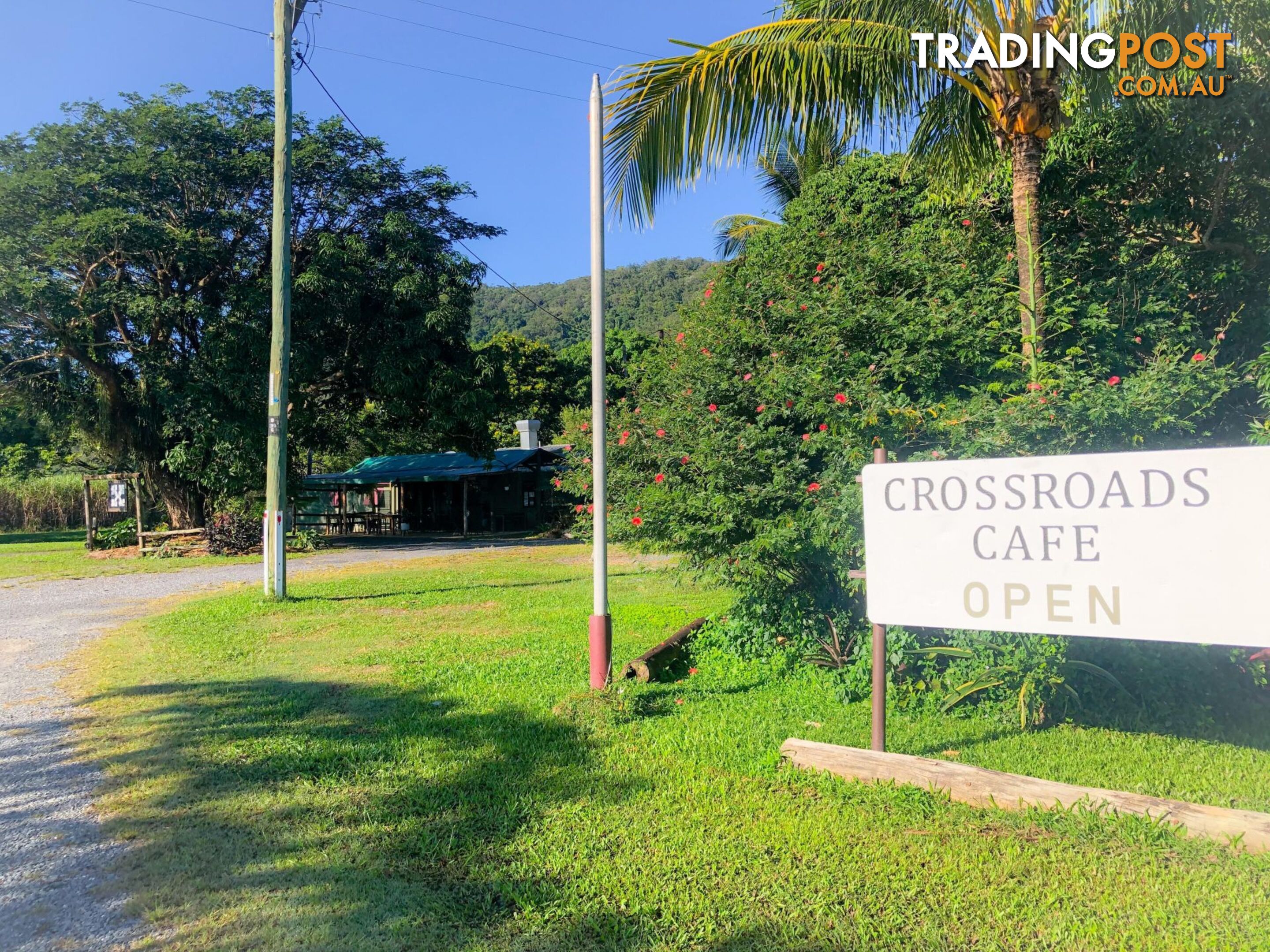 2539 Mossman Daintree Road Lower Daintree QLD 4873