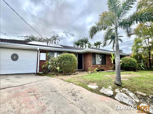 125 Collingwood Drive Collingwood Park QLD 4301