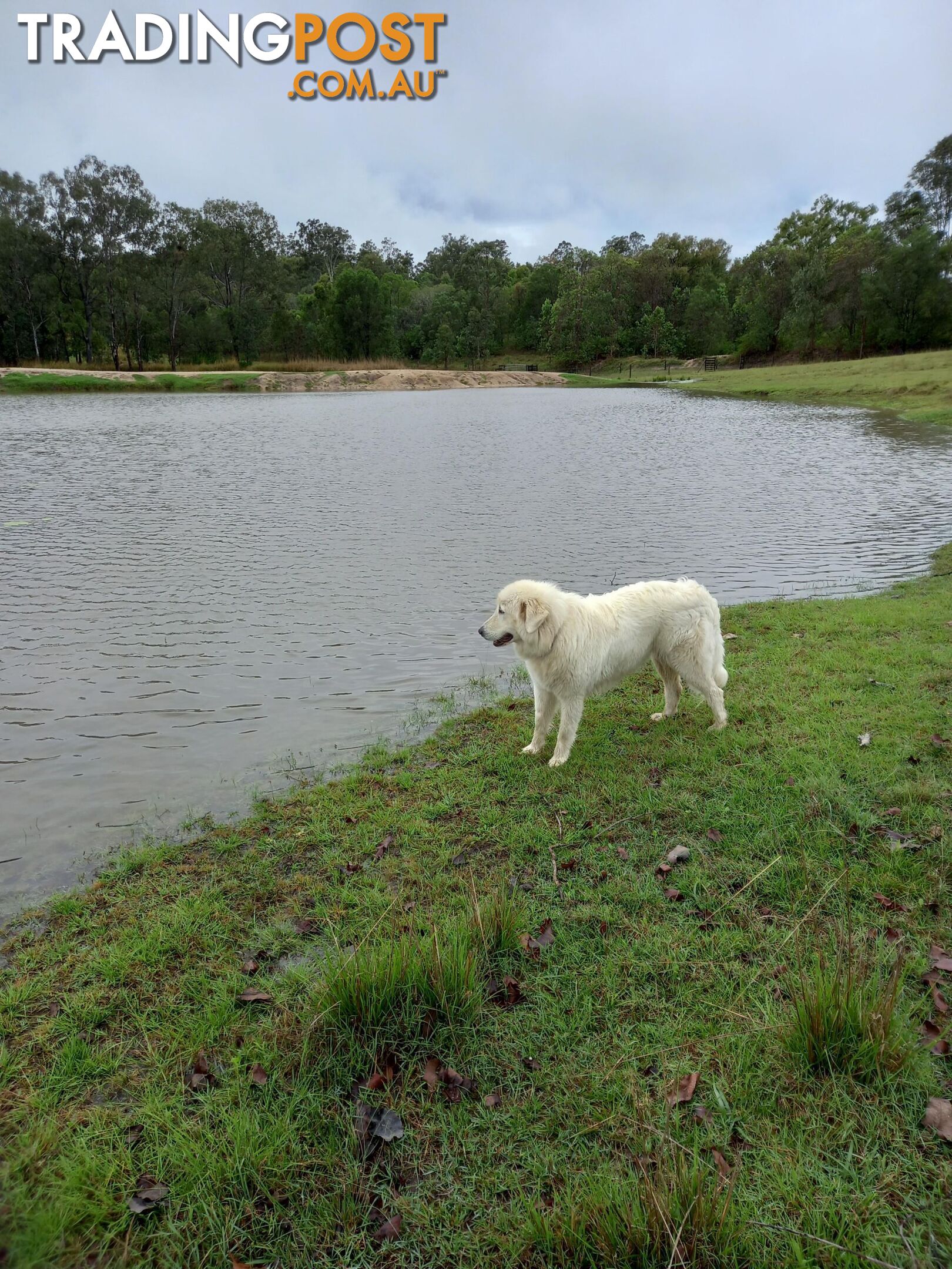 634 Duckpond Road Moolboolaman QLD 4671