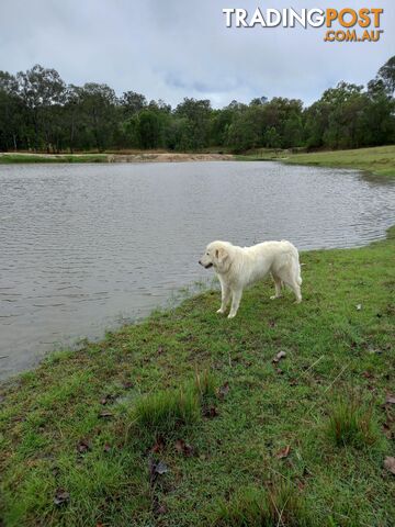 634 Duckpond Road Moolboolaman QLD 4671