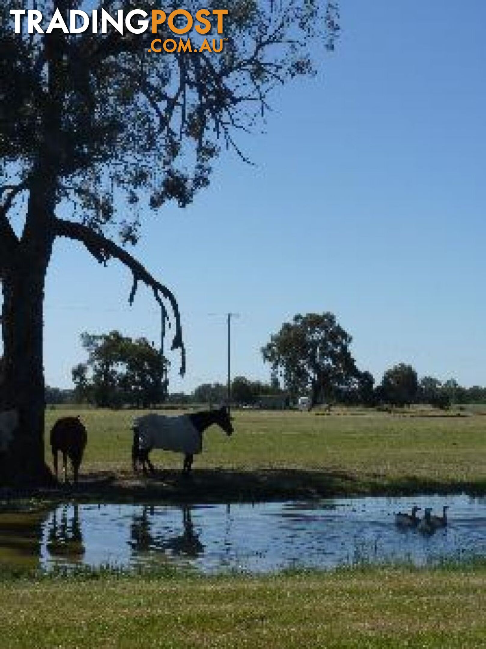 Wagga Wagga NSW 2650