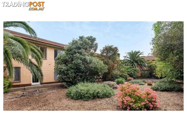 9/14 Montrose Avenue Seaton SA 5023