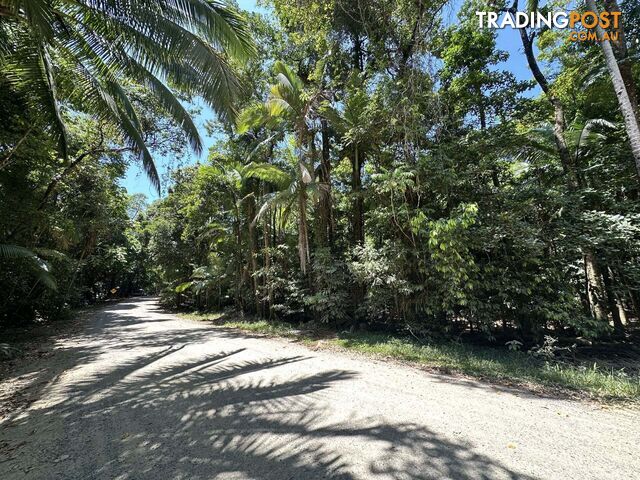 Cape Tribulation QLD 4873