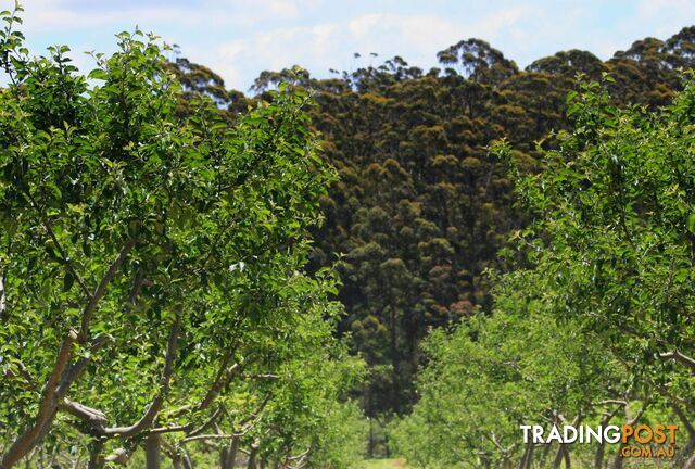 The Denmark Heritage Cider Company 218 Glenrowan Road Scotsdale WA 6333