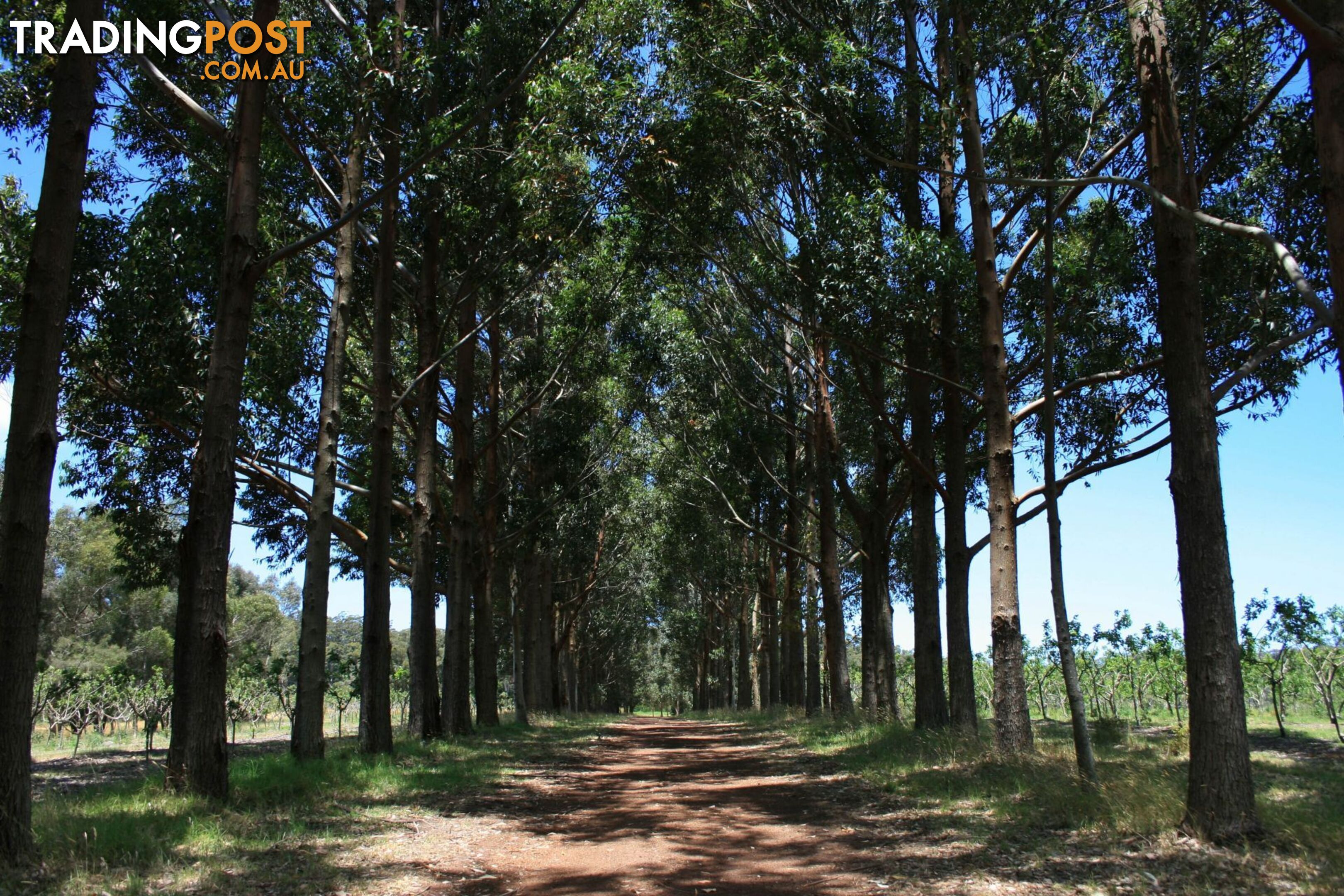 The Denmark Heritage Cider Company 218 Glenrowan Road Scotsdale WA 6333