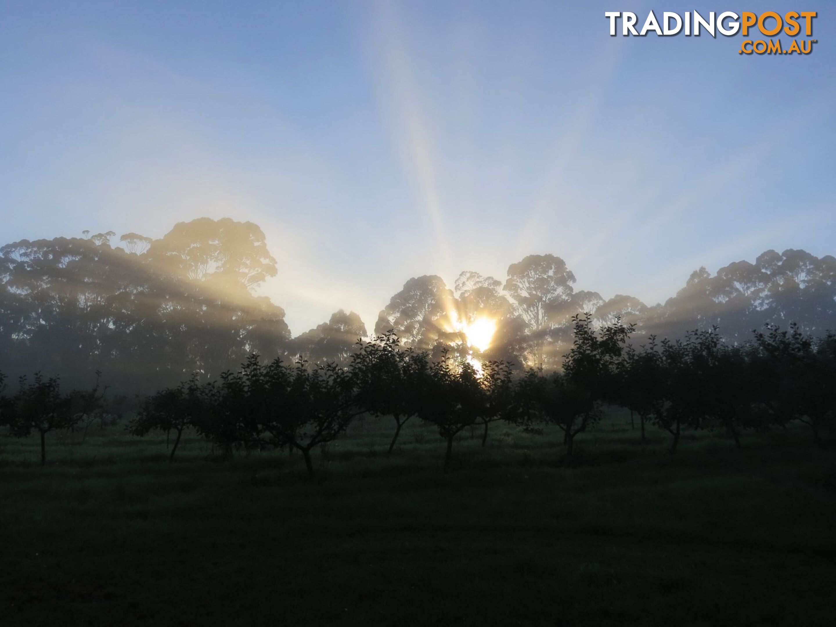 The Denmark Heritage Cider Company 218 Glenrowan Road Scotsdale WA 6333