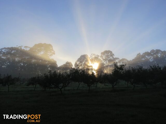 The Denmark Heritage Cider Company 218 Glenrowan Road Scotsdale WA 6333