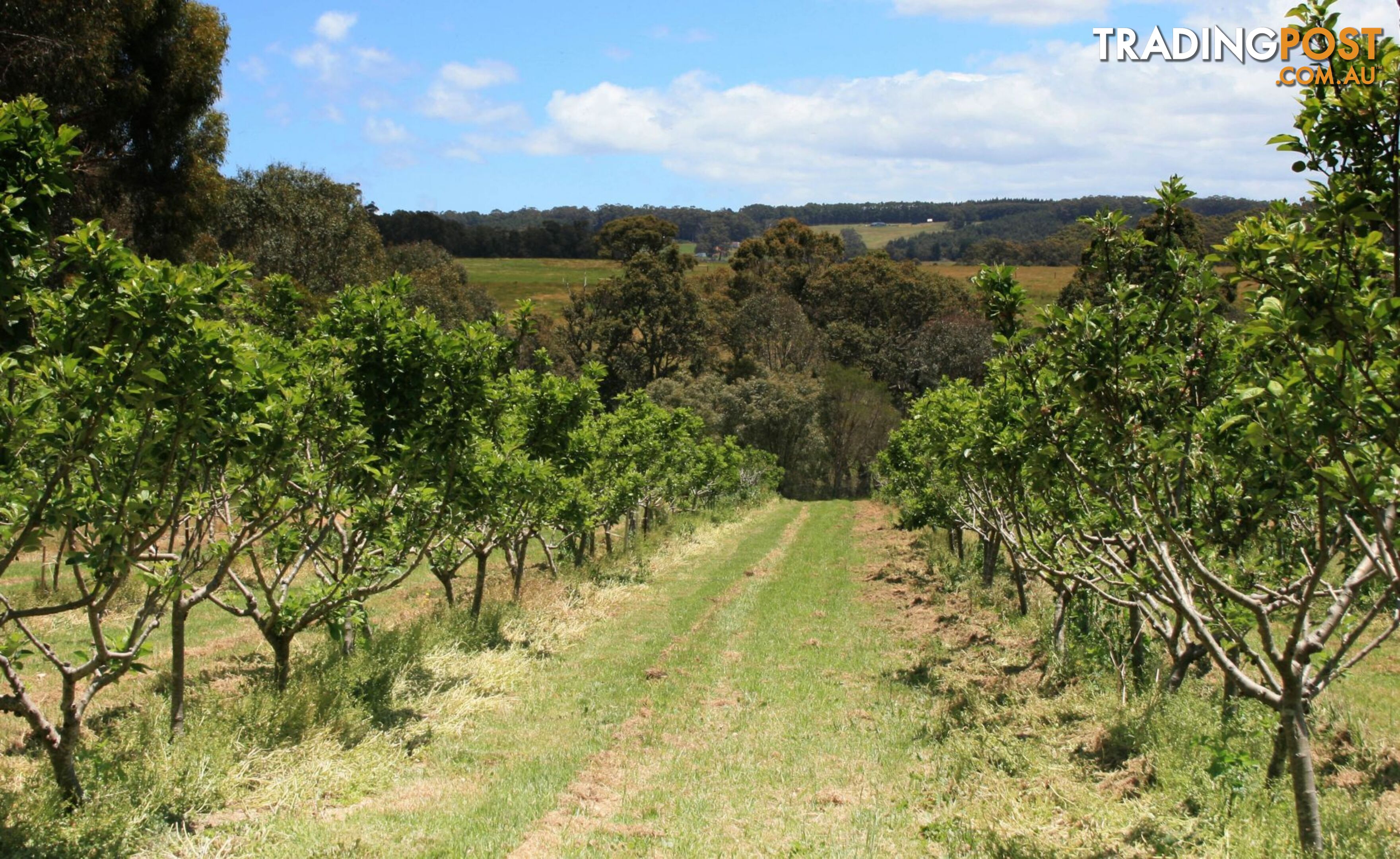 The Denmark Heritage Cider Company 218 Glenrowan Road Scotsdale WA 6333