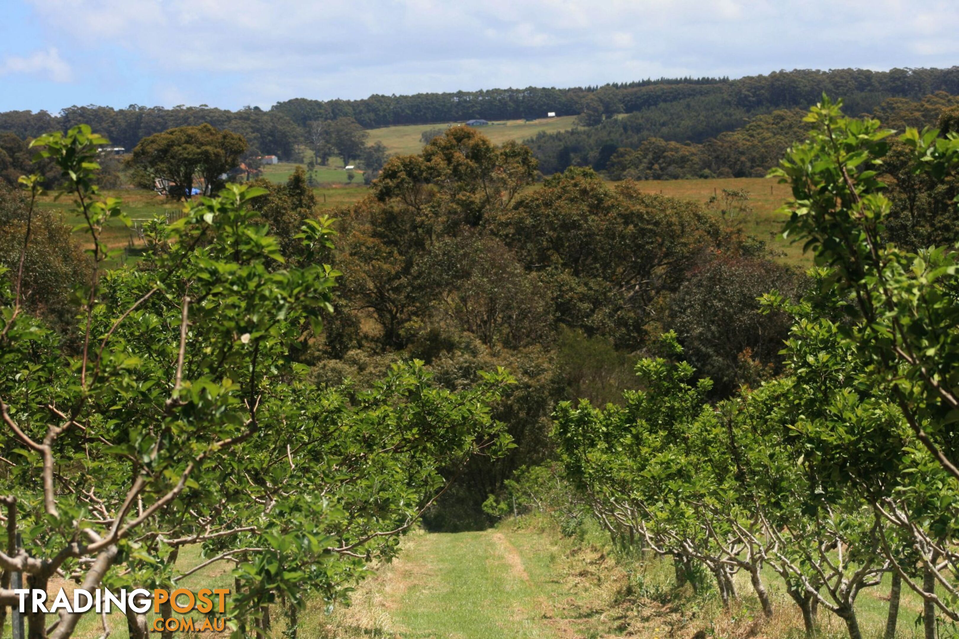 The Denmark Heritage Cider Company 218 Glenrowan Road Scotsdale WA 6333