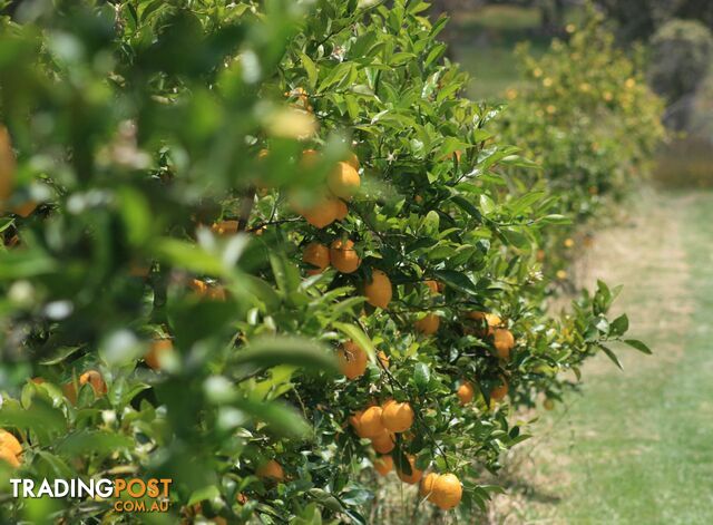 The Denmark Heritage Cider Company 218 Glenrowan Road Scotsdale WA 6333