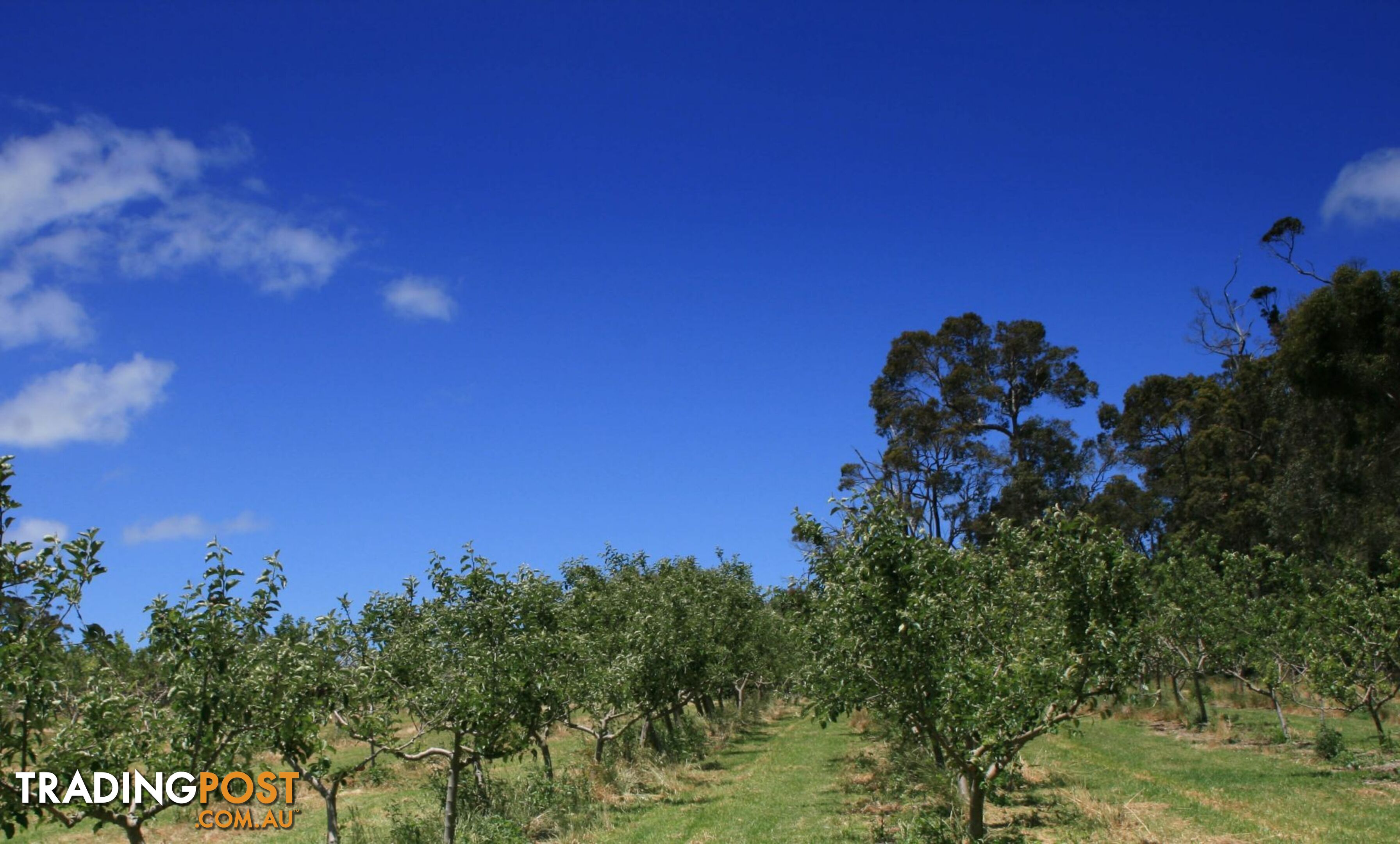 The Denmark Heritage Cider Company 218 Glenrowan Road Scotsdale WA 6333