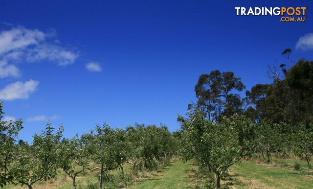 The Denmark Heritage Cider Company 218 Glenrowan Road Scotsdale WA 6333