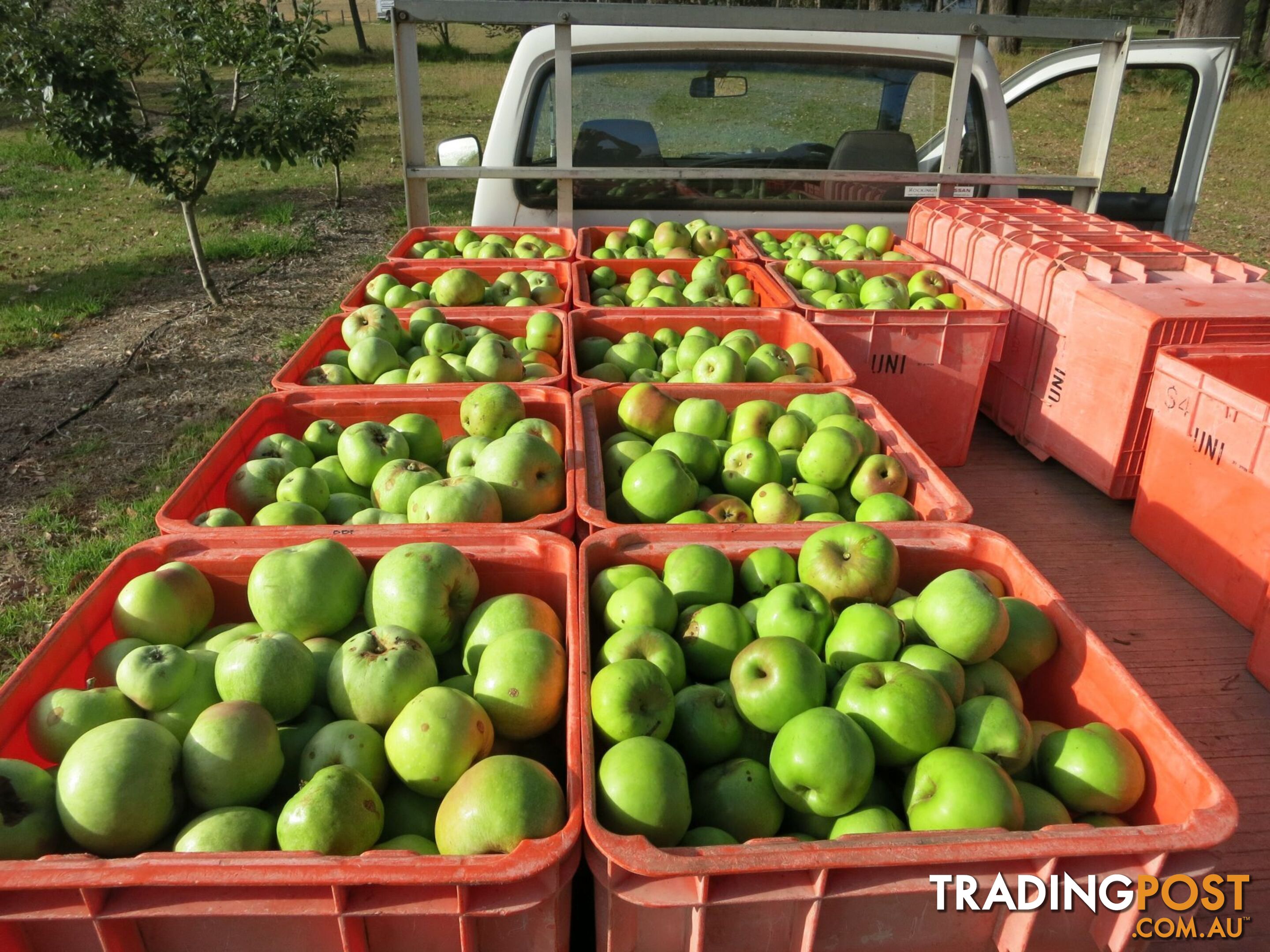 The Denmark Heritage Cider Company 218 Glenrowan Road Scotsdale WA 6333