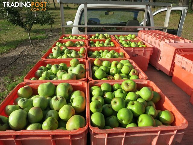 The Denmark Heritage Cider Company 218 Glenrowan Road Scotsdale WA 6333