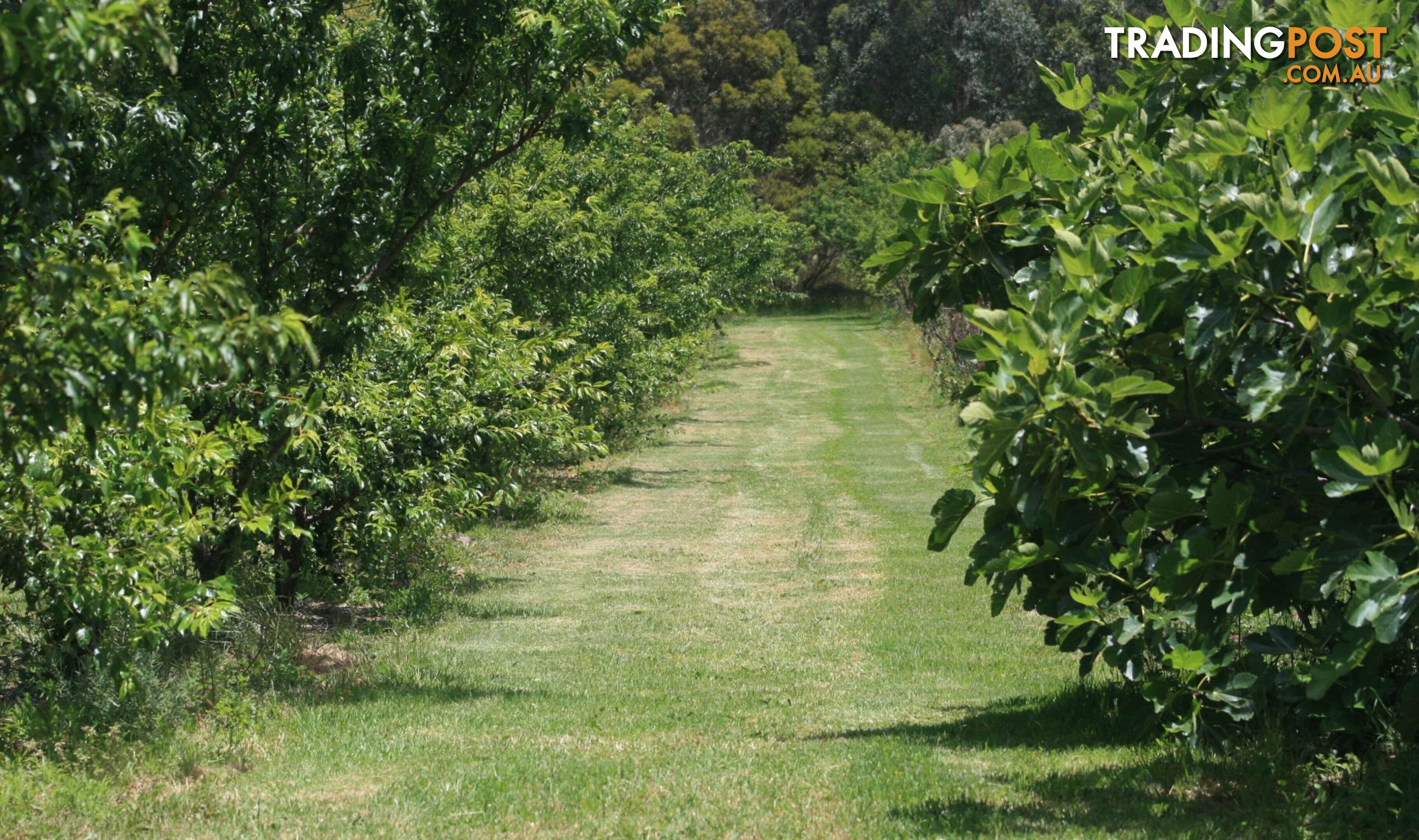 The Denmark Heritage Cider Company 218 Glenrowan Road Scotsdale WA 6333