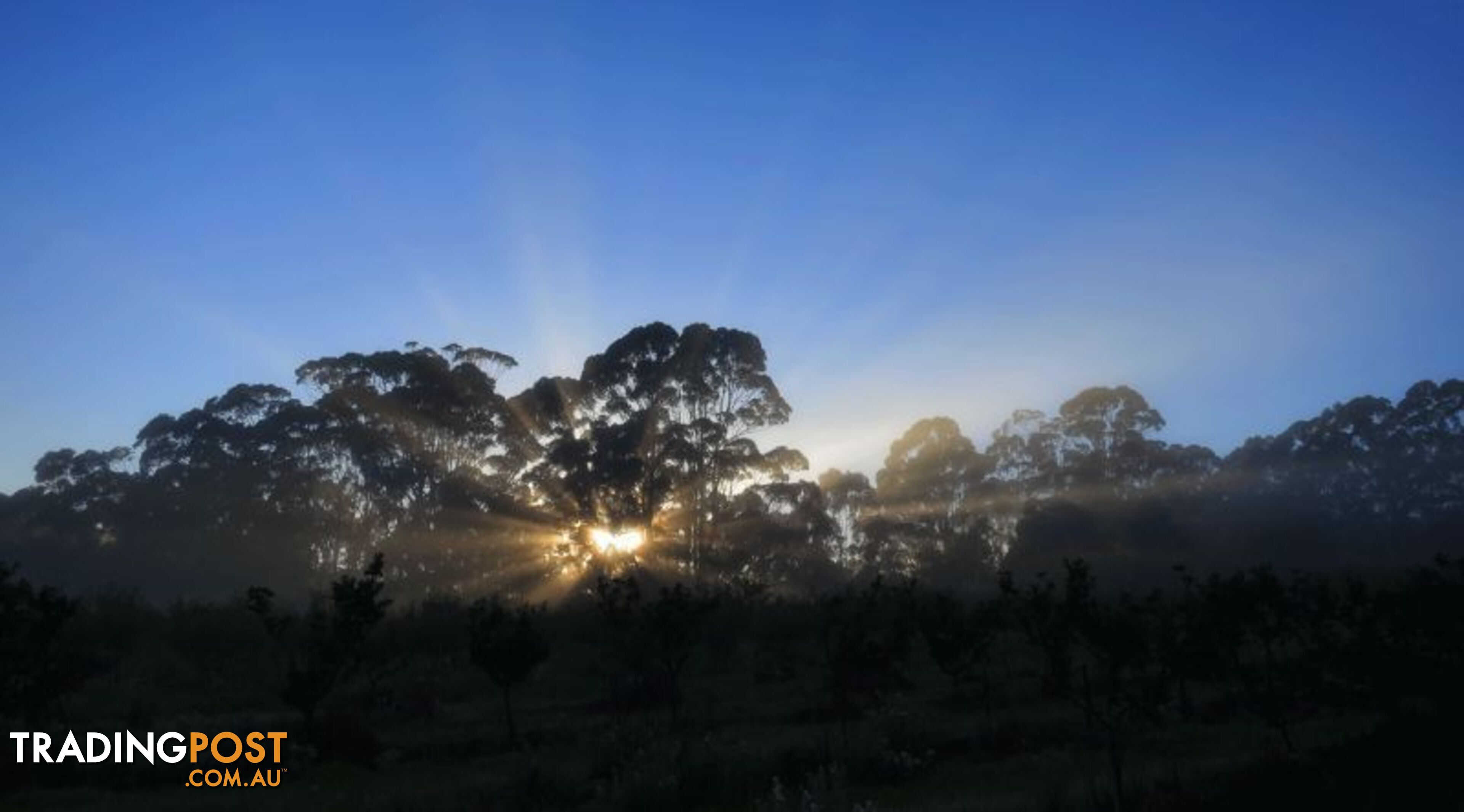 The Denmark Heritage Cider Company 218 Glenrowan Road Scotsdale WA 6333