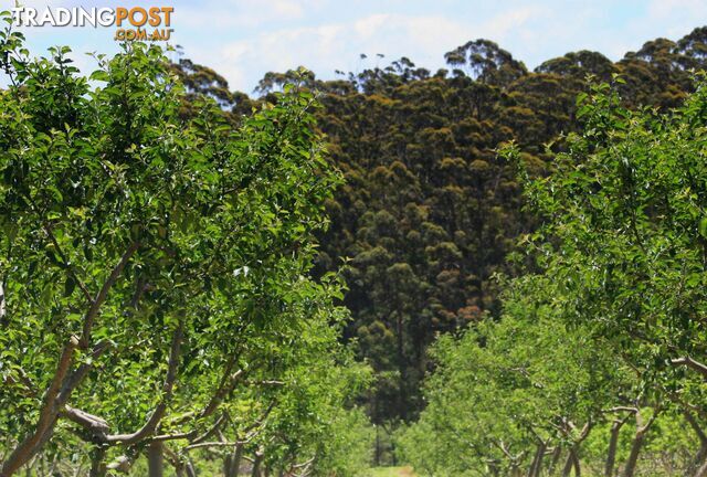 The Denmark Heritage Cider Company 218 Glenrowan Road Scotsdale WA 6333