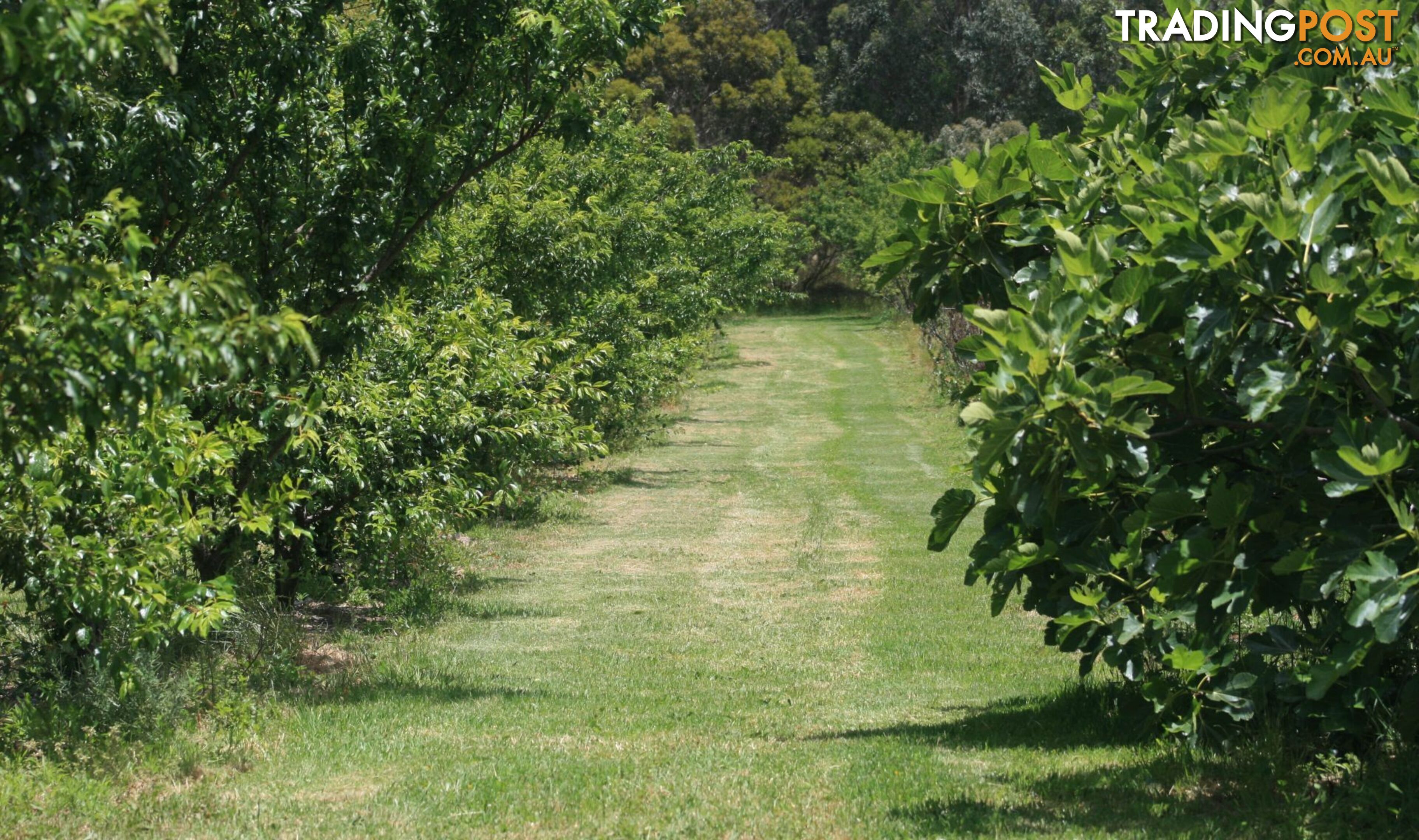 The Denmark Heritage Cider Company 218 Glenrowan Road Scotsdale WA 6333