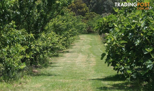 The Denmark Heritage Cider Company 218 Glenrowan Road Scotsdale WA 6333