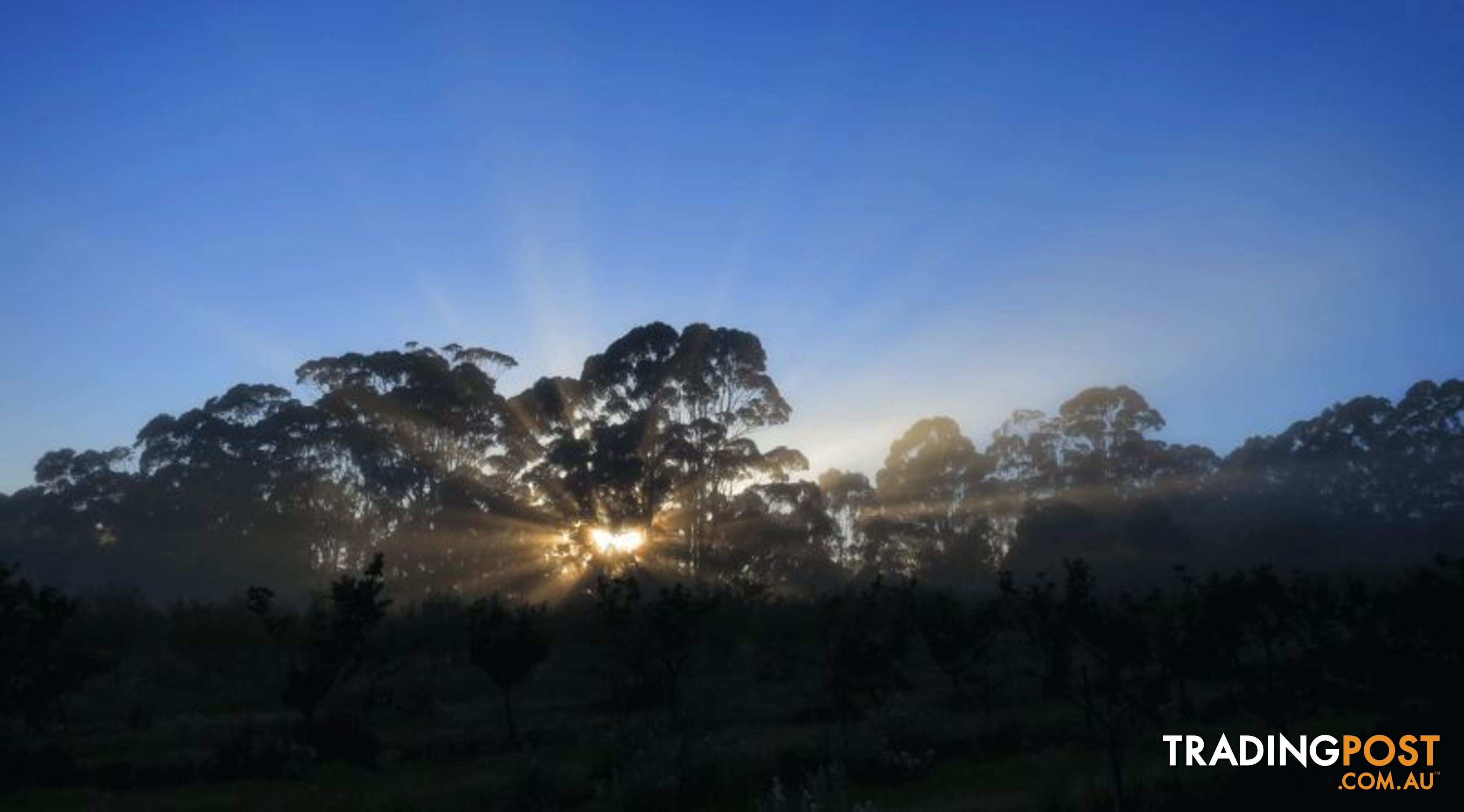 The Denmark Heritage Cider Company 218 Glenrowan Road Scotsdale WA 6333