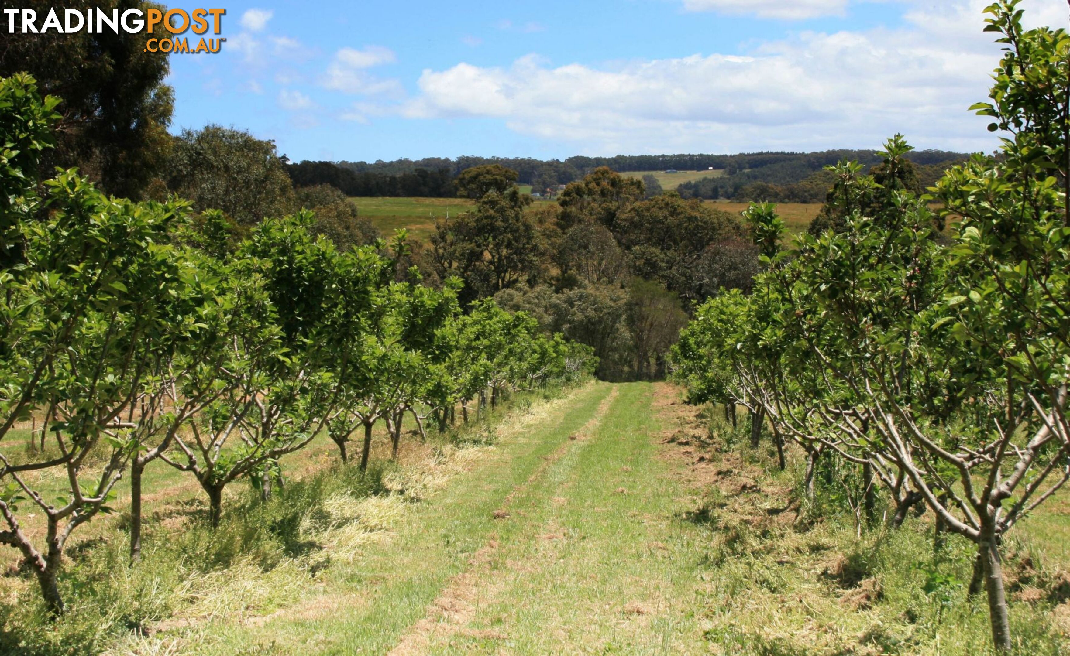 The Denmark Heritage Cider Company 218 Glenrowan Road Scotsdale WA 6333