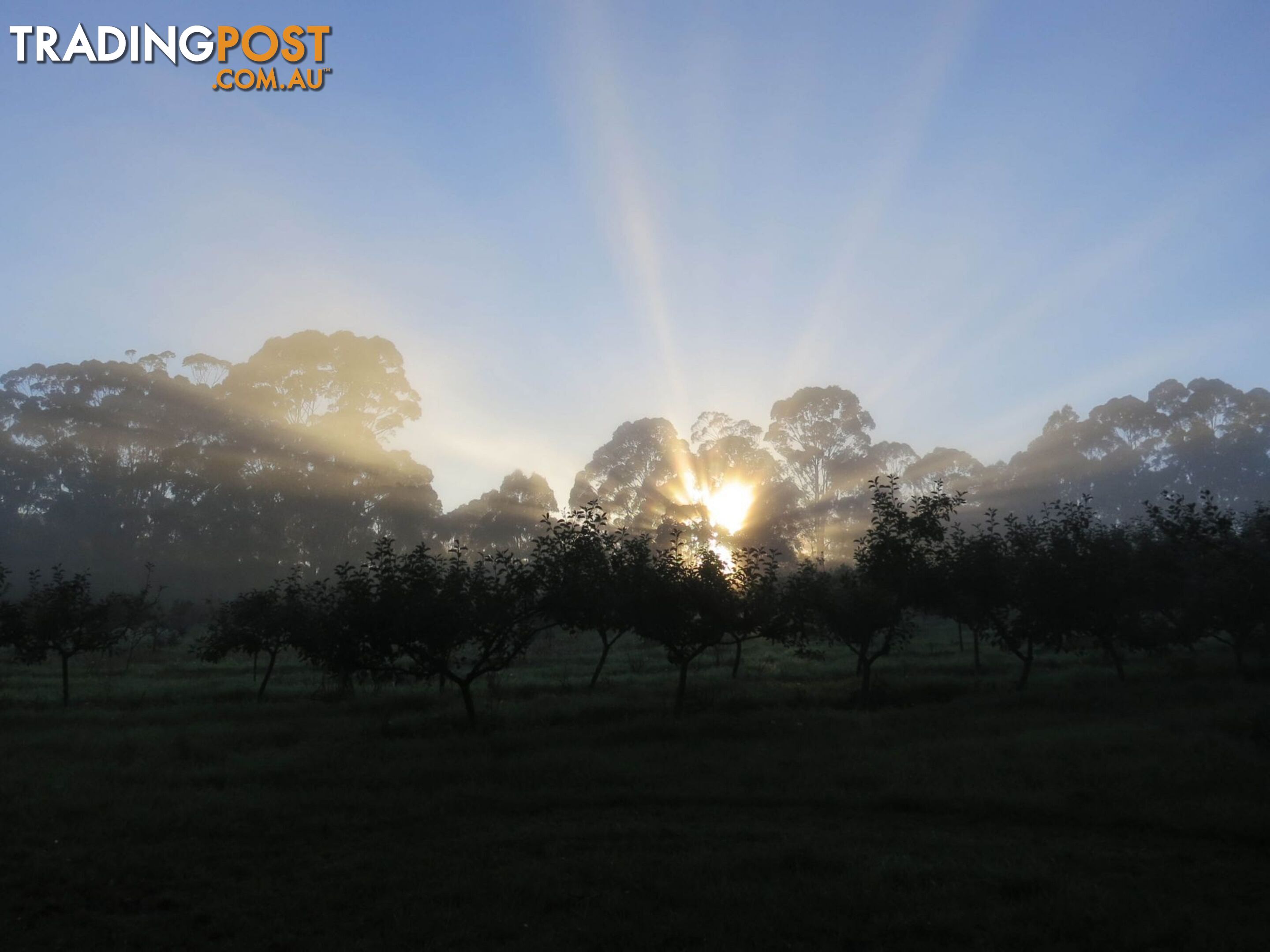 The Denmark Heritage Cider Company 218 Glenrowan Road Scotsdale WA 6333