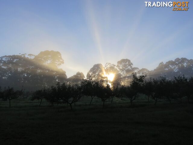 The Denmark Heritage Cider Company 218 Glenrowan Road Scotsdale WA 6333