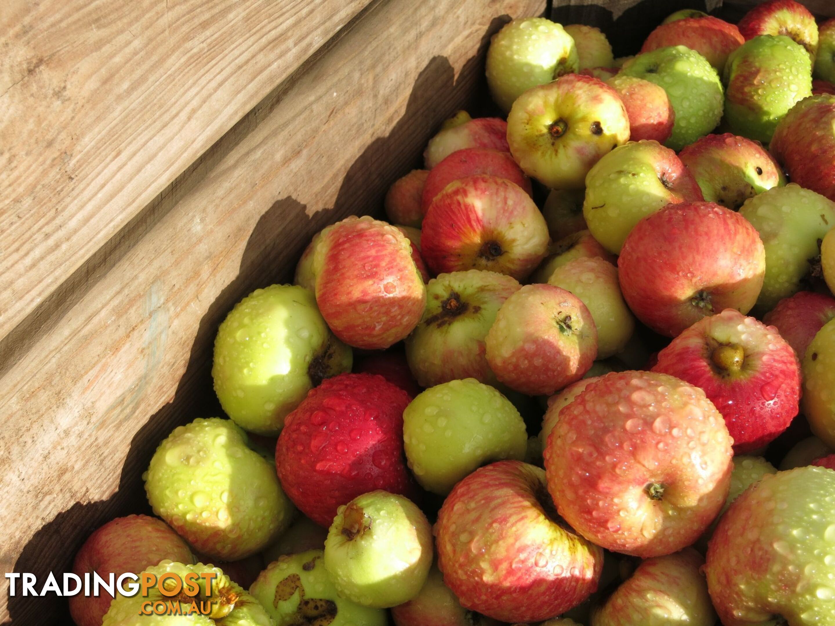 The Denmark Heritage Cider Company 218 Glenrowan Road Scotsdale WA 6333