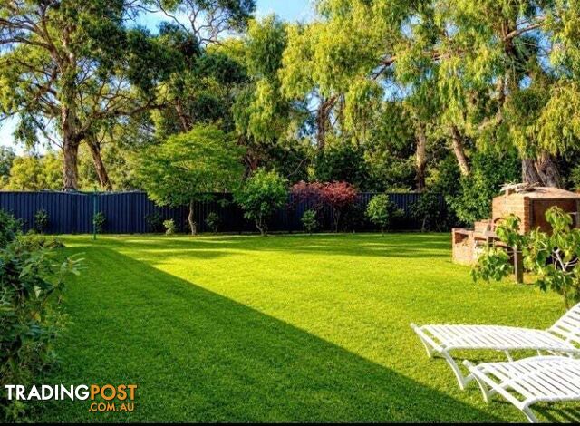 255A Jetty Road Rosebud VIC 3939