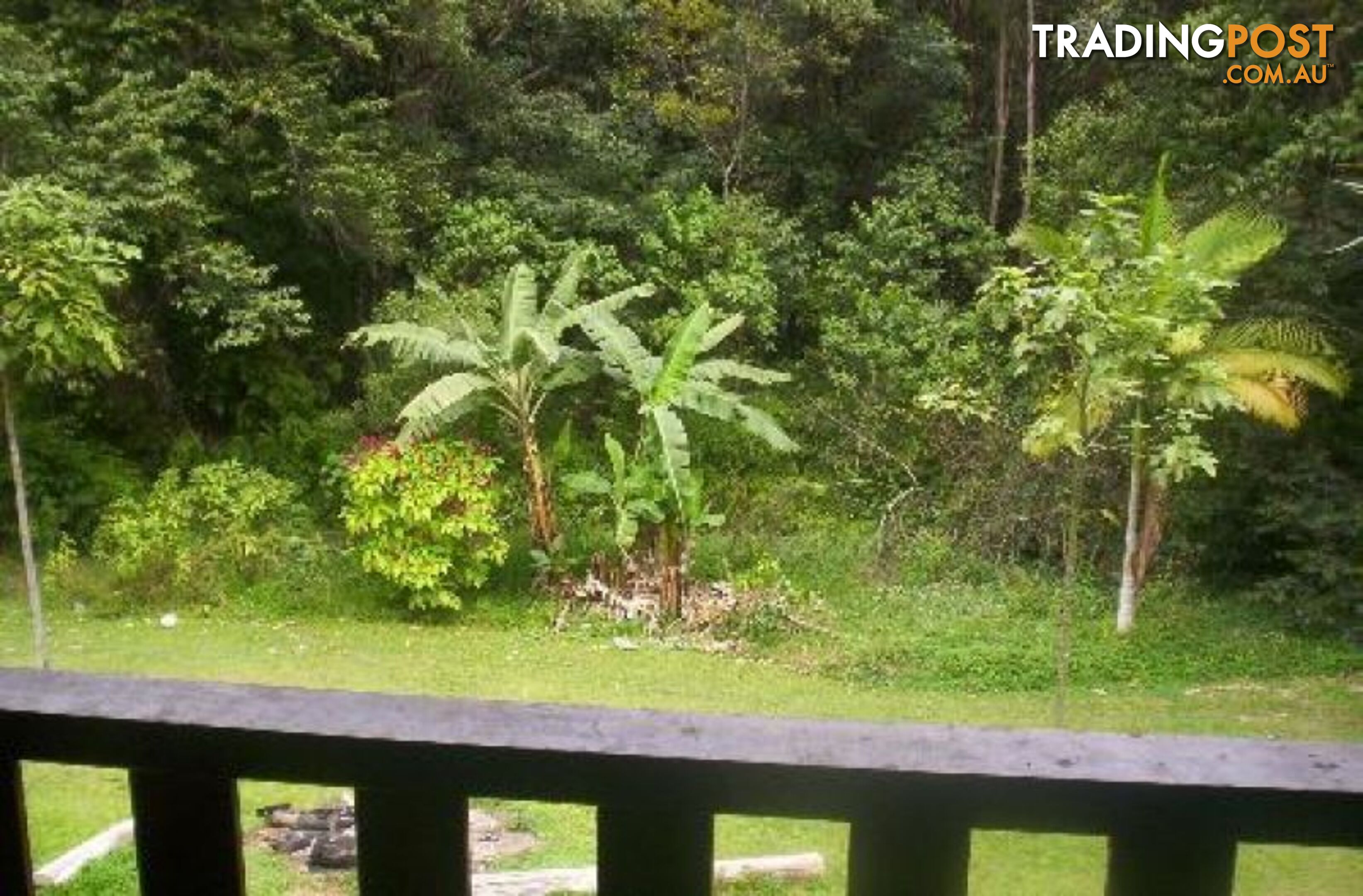 Daintree QLD 4873