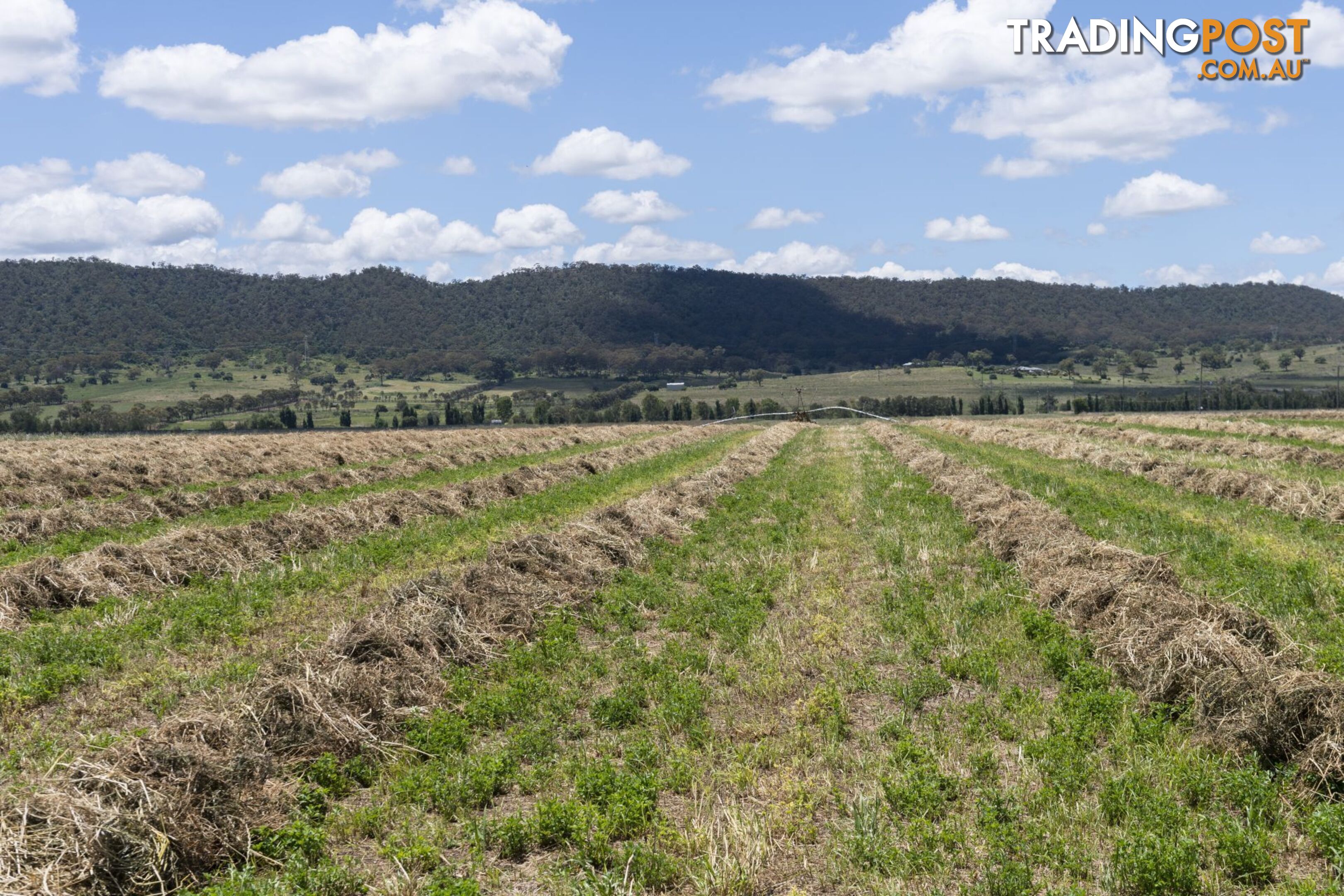 1068 Segenhoe Road Scone NSW 2337