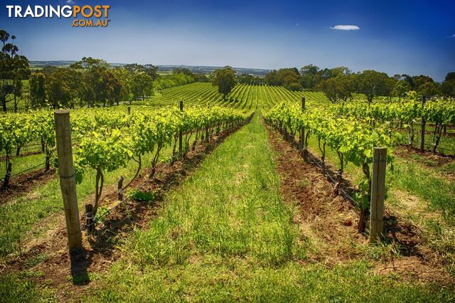 Adelaide SA 5000