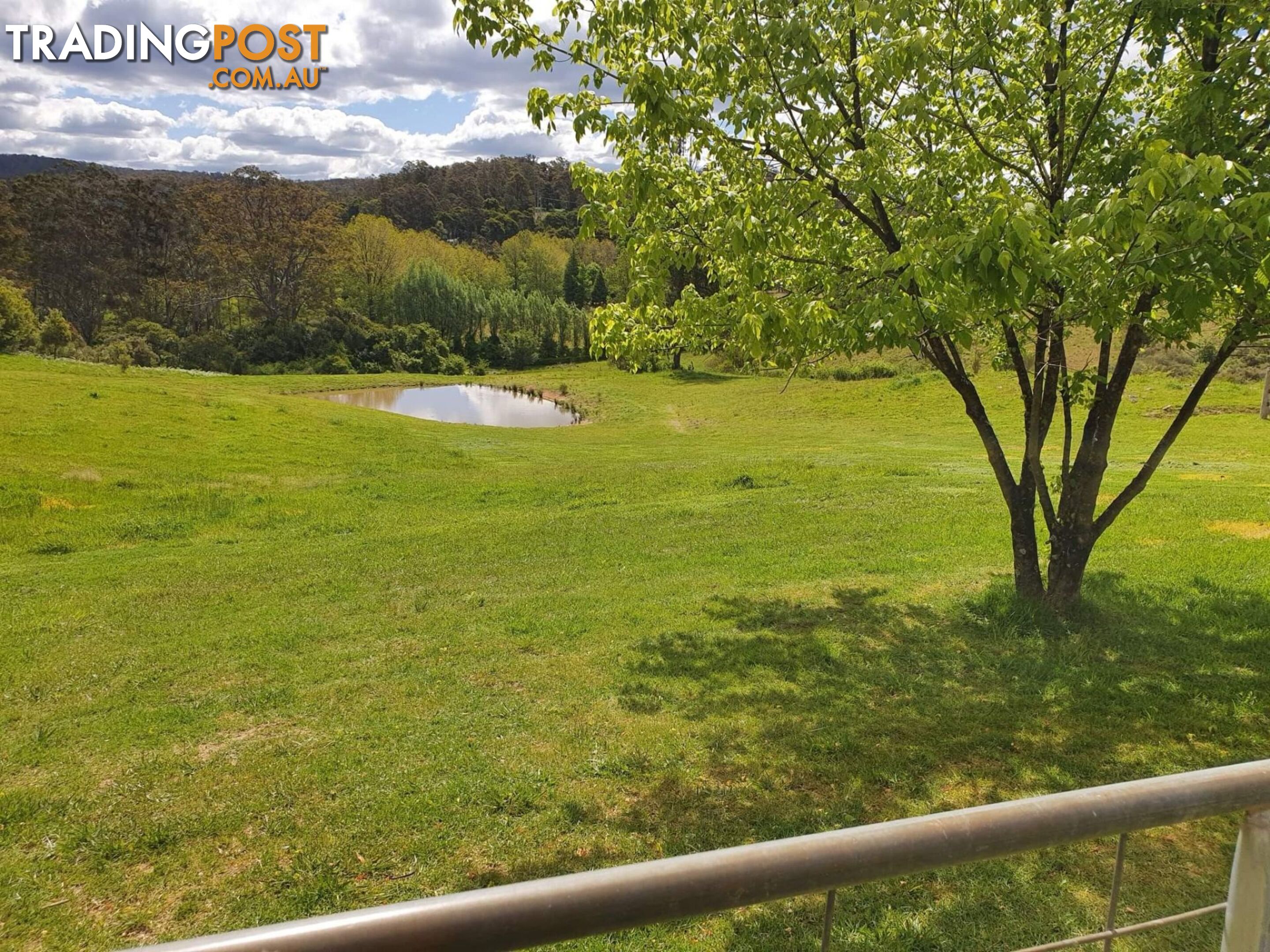 7630 Armidale Rd Billys Creek NSW 2453