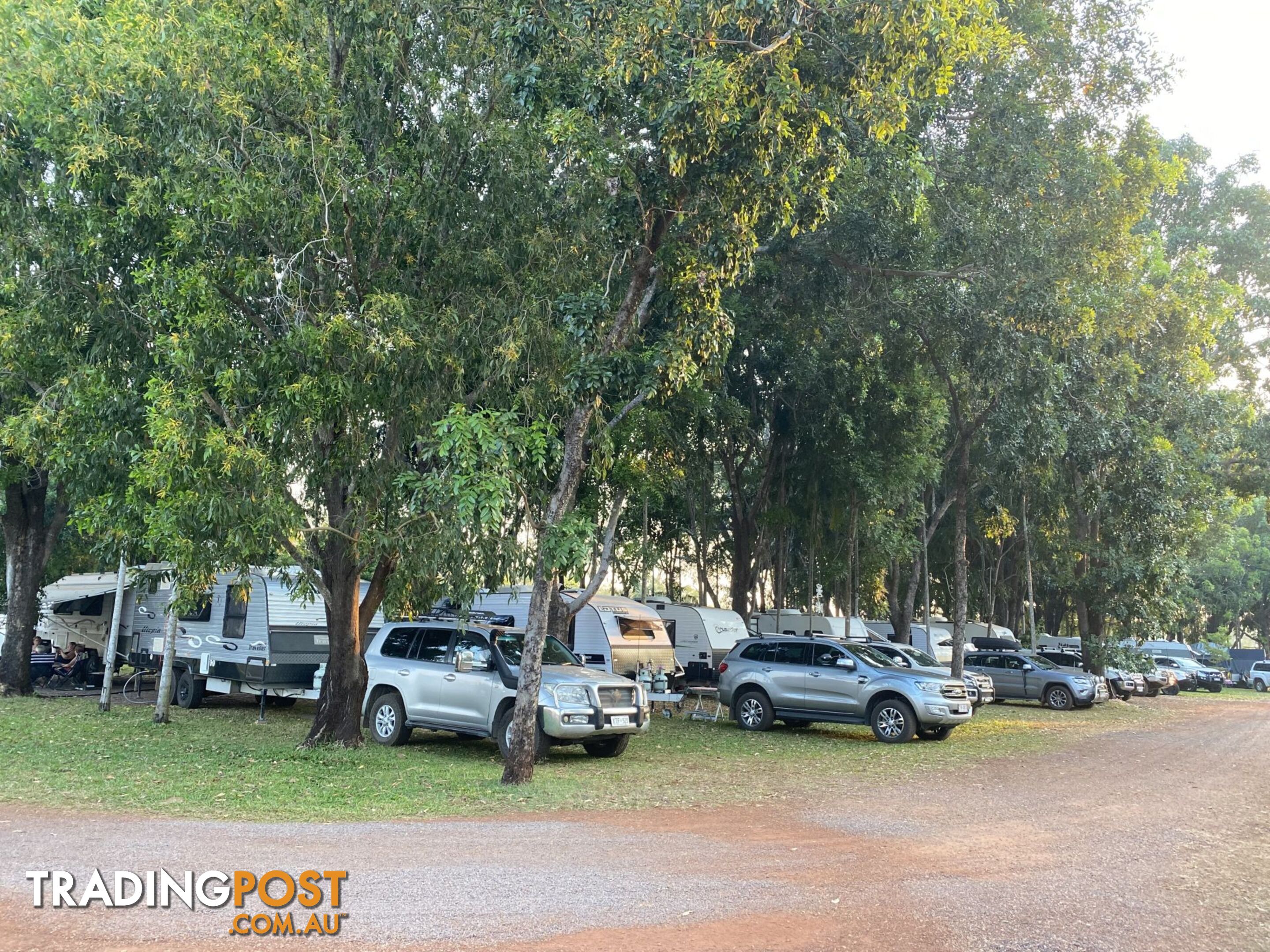 Darwin NT 0800