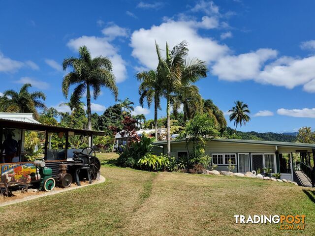 2 Stewart Street Daintree QLD 4873