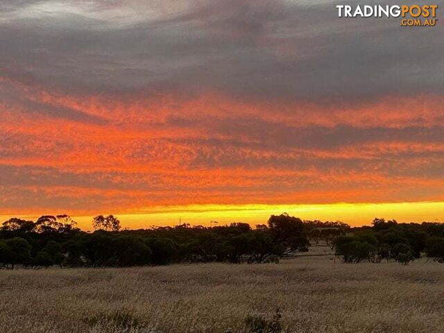 Lot 285 Flinders highway Streaky Bay SA 5680 - photo 1 of 5