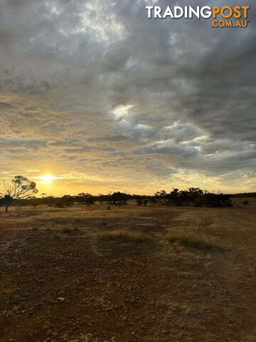 Lot 285 Flinders highway Streaky Bay SA 5680 - photo 4 of 5