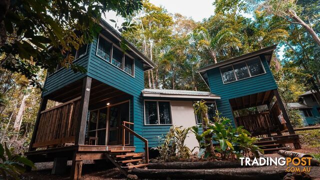 Ferntree Rainforest Lodge 36 Camelot Close Cape Tribulation QLD 4873