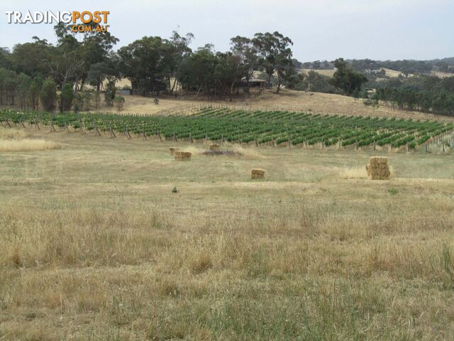 56 Pound Lane Guildford VIC 3451 - photo 5 of 10